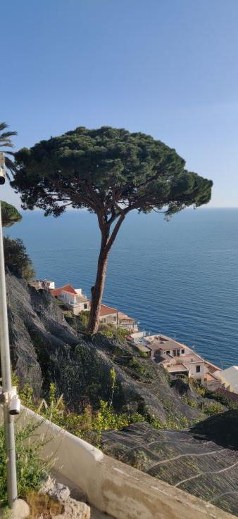 Amalfi11.jpg.cc5f5d284bc080489cc05b98a1dc8508.jpg